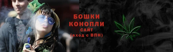 индика Магадан