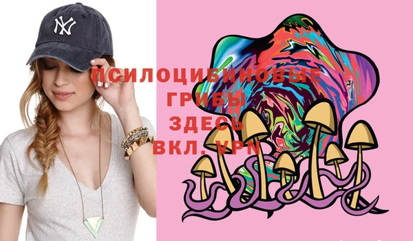 бутират Каменногорск