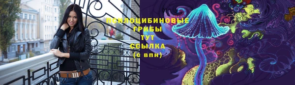 гидра Новокубанск