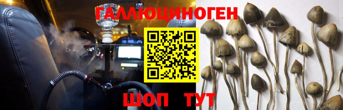 Псилоцибиновые грибы Magic Shrooms  Галлюциногенные грибы прущие грибы  Вход с VPN  Кимовск 